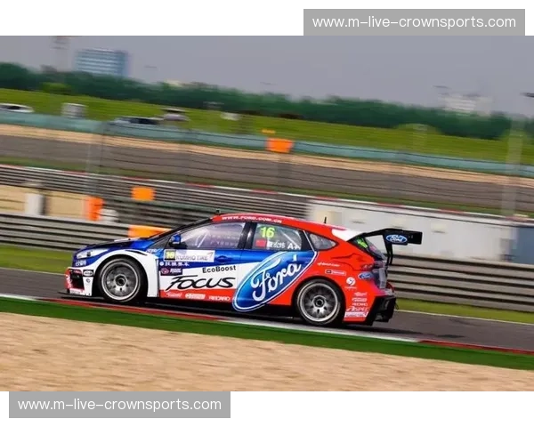 柔道赛季数据：洞察力量之源，开启赛季新征程